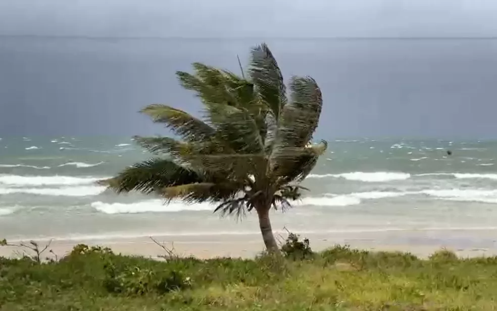 Ventania é registrada em praia de Ilhéus, sul da BA — Foto: Olga Amaral/TV Santa Cruz
