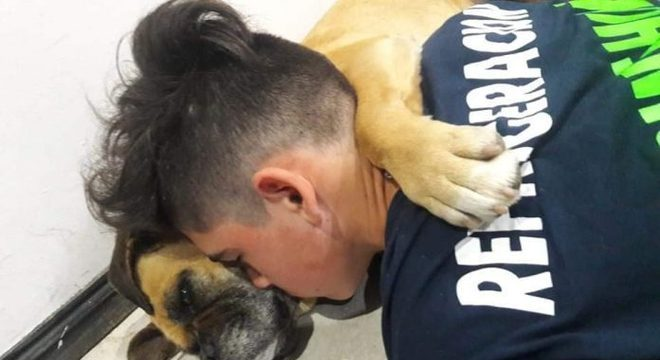 Relato de dono de pet que morreu em decorrência do barulho dos fogos viralizou nas redes