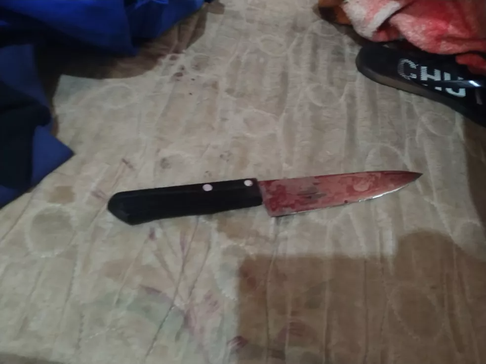 A perícia informou que a vítima sofreu mais de 40 golpes na região do peito e do pescoço. — Foto: Polícia Militar