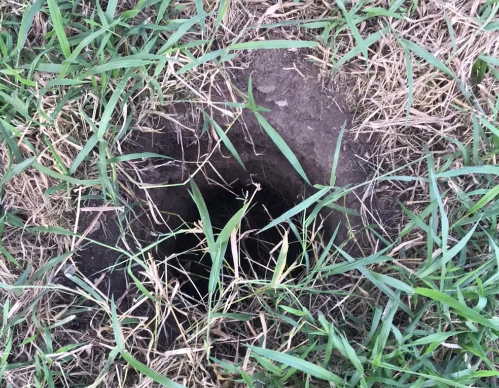 Bebê é encontrado com vida depois de passar dois dias dentro de buraco na Bahia; mãe foi presa por abandono de incapaz — Foto: Arquivo Pessoal