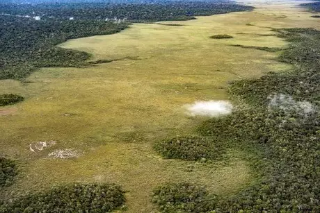 Bolsonaro exclui governadores de novo Conselho da Amazônia Bolsonaro exclui governadores de novo Conselho da Amazônia