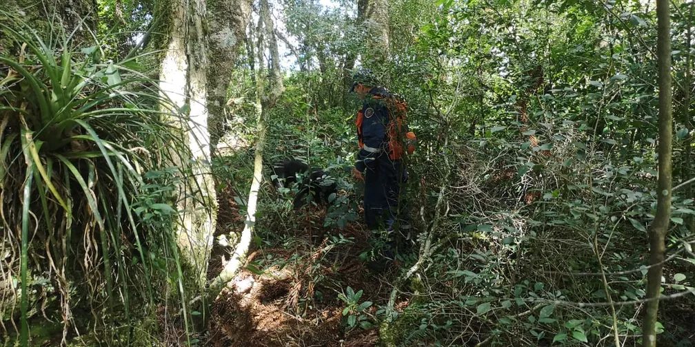 Bombeiros procuravam adolescente de 14 anos desde terça-feira (9) — Foto: Corpo de Bombeiros/Divulgação