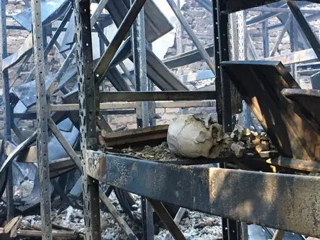 Museu de História Natural de Minas Gerais é parcialmente destruído após incêndio Museu de História Natural de Minas Gerais é parcialmente destruído após incêndio