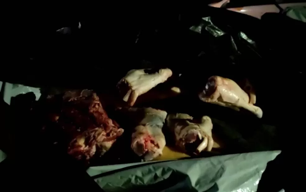 Uma tonelada de carne de abate clandestino é apreendida após denúncia em Itamaraju, no sul da Bahia — Foto: Henrique Peixoto
