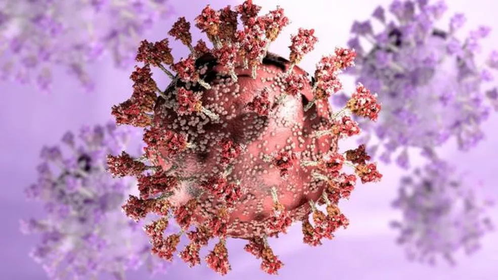 Um estudo produzido por cientistas da África do Sul apontou que a variante ômicron do coronavírus pode