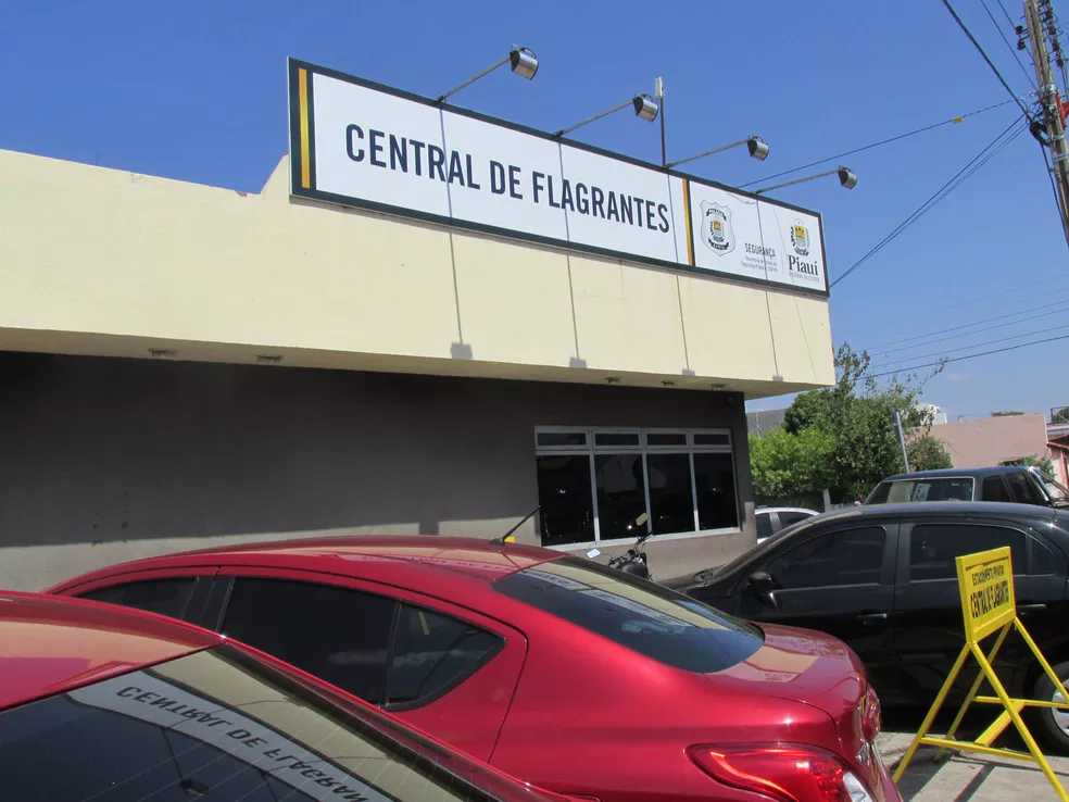Menina foi encaminhada à Central de Flagrantes de Teresina — Foto: Catarina Costa/G1