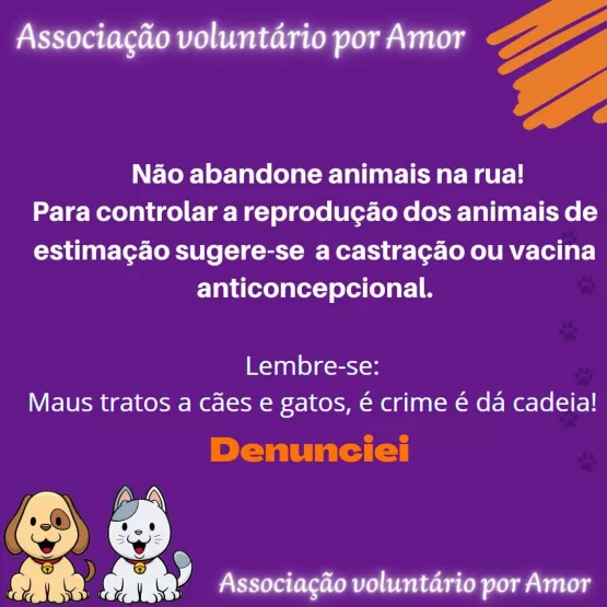 Associação “Voluntário por Amor” faz alerta para a importância da castração de animais, em Itabatã