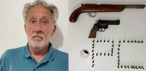 PC apreende armas durante cumprimento de Busca e Apreensão, em Caravelas